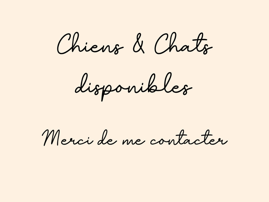 Boule de Noël personnalisé