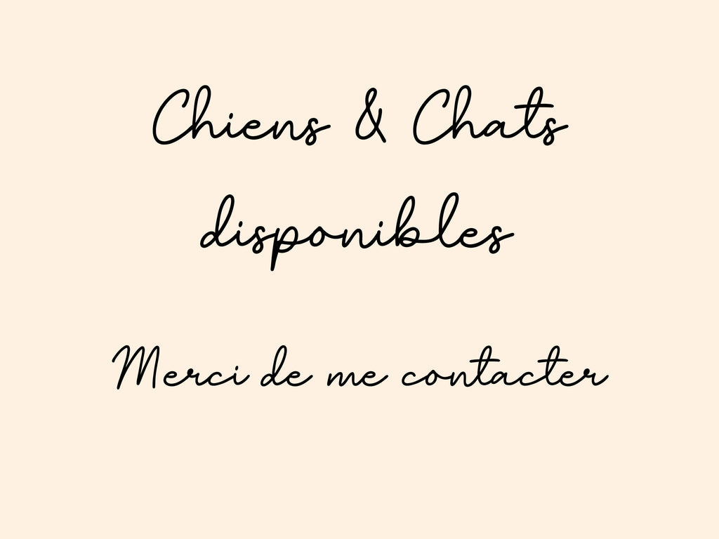 Boule de Noël personnalisé