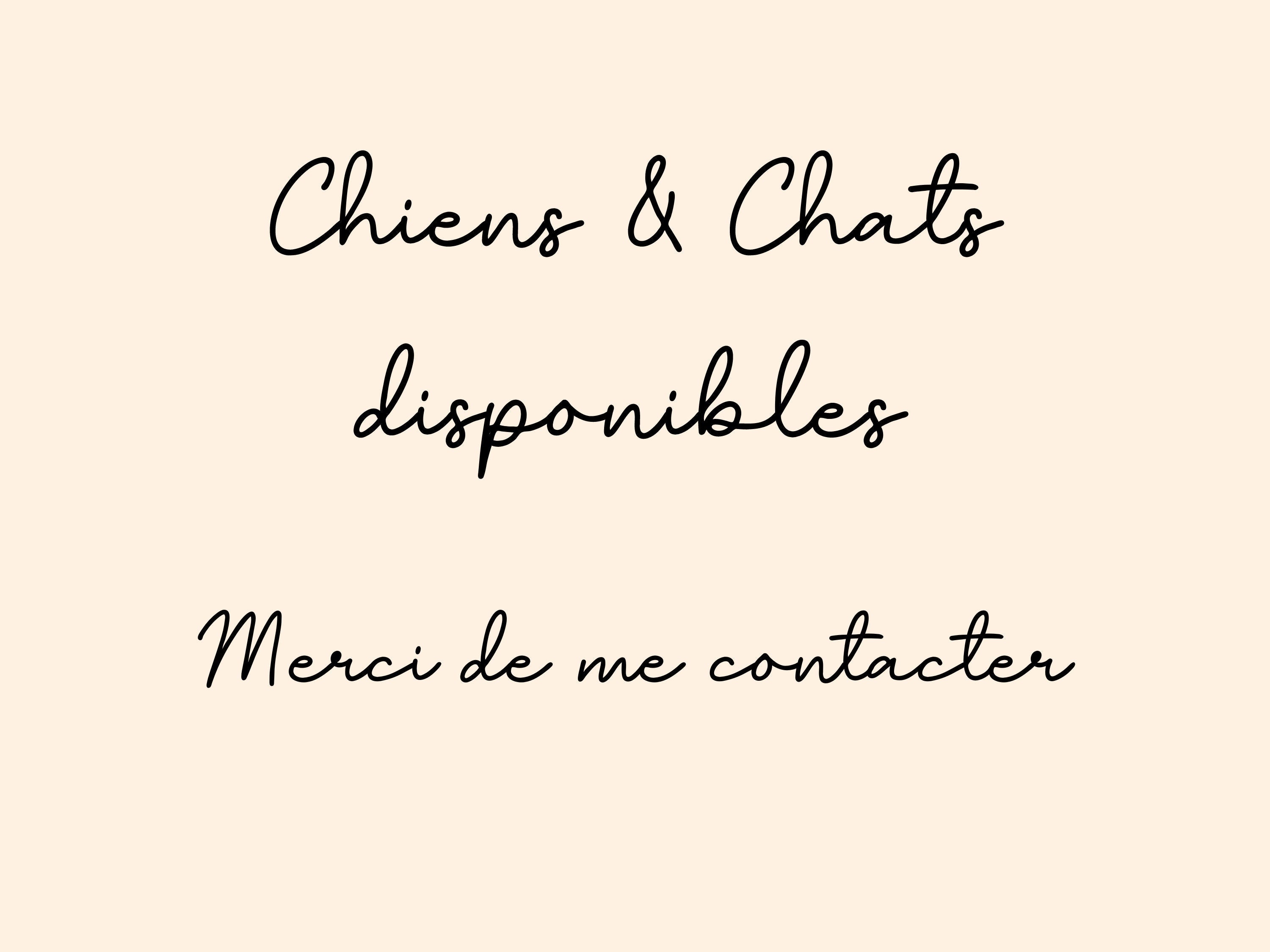 Boule de Noël personnalisé