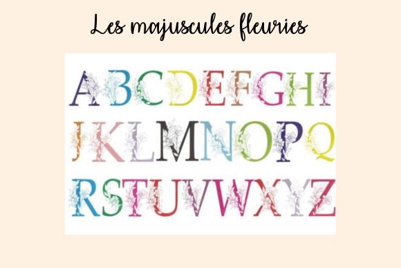 Protège carnet de santé personnalisé en tissu bouclette